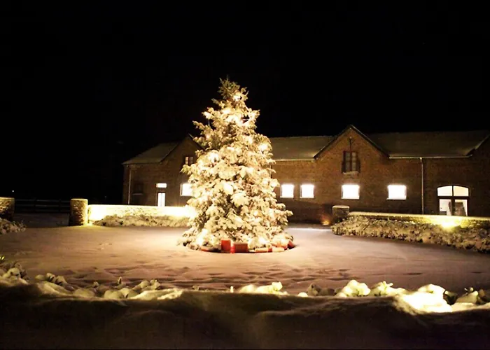 Hotel Gut Hohenholz 4*